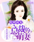 隐婚溺宠:总裁的萌妻