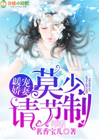 暖宠娇妻:莫少,请节制!