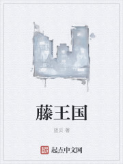 藤王国