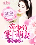 闪婚秘爱:帝少的掌上萌妻