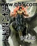 第九骑士
