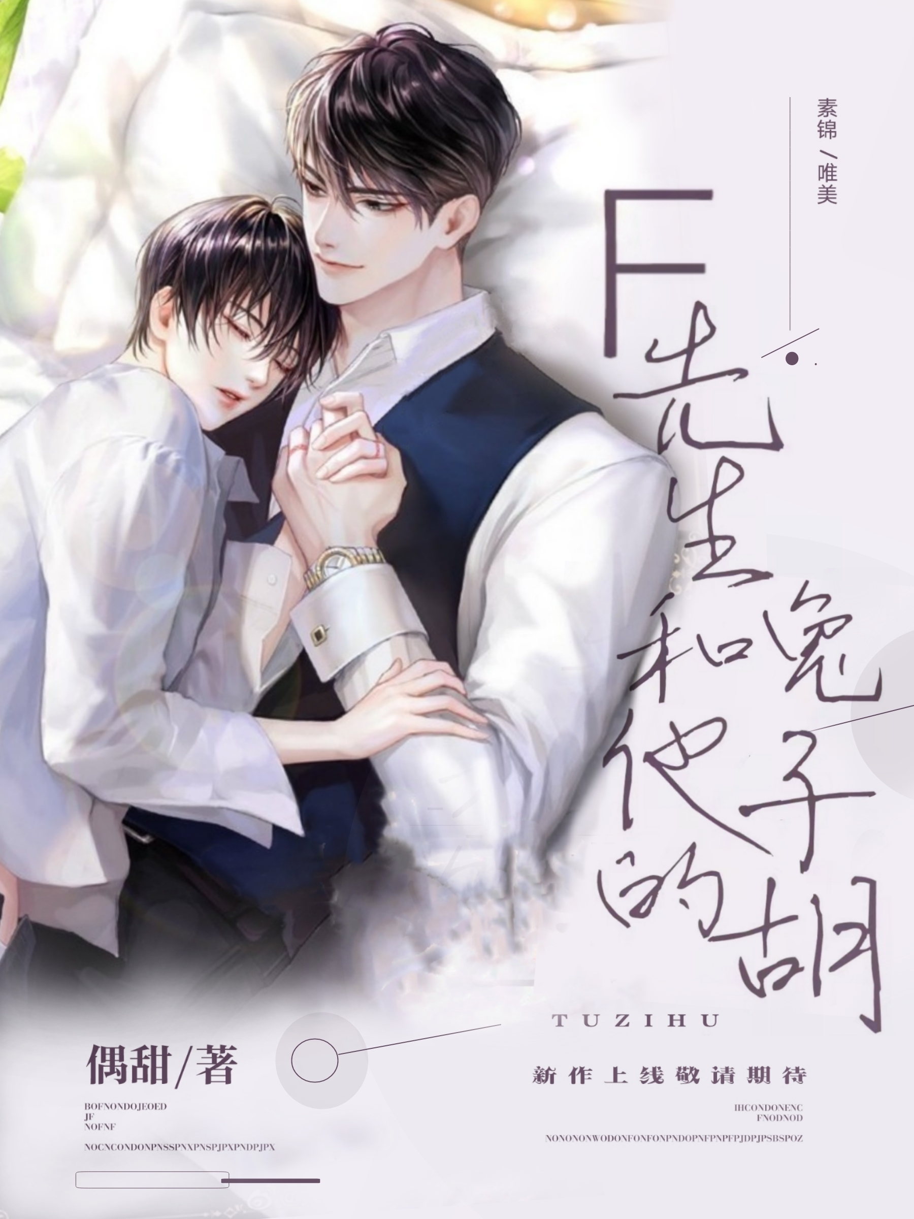 F先生和他的兔子胡