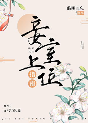 妾室登基指南(基建)