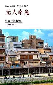 名柯 无人幸免