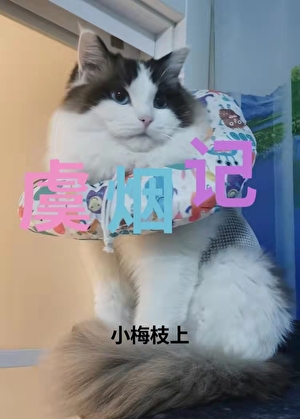 虞烟记