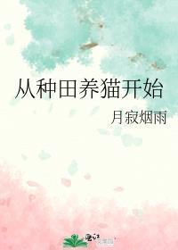 从种田养猫开始