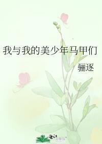 我与我的美少年马甲们
