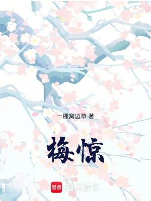 梅惊