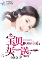 BOSS夺爱:宝贝买一送一
