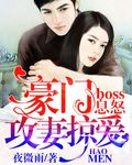 boss息怒:豪门攻妻掠爱