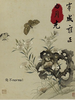 清穿雍正白月光