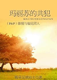 (Pamp;P)玛丽苏的共犯—傲慢与偏见同人