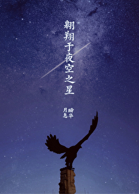[塞尔达传说]翱翔于夜空之星