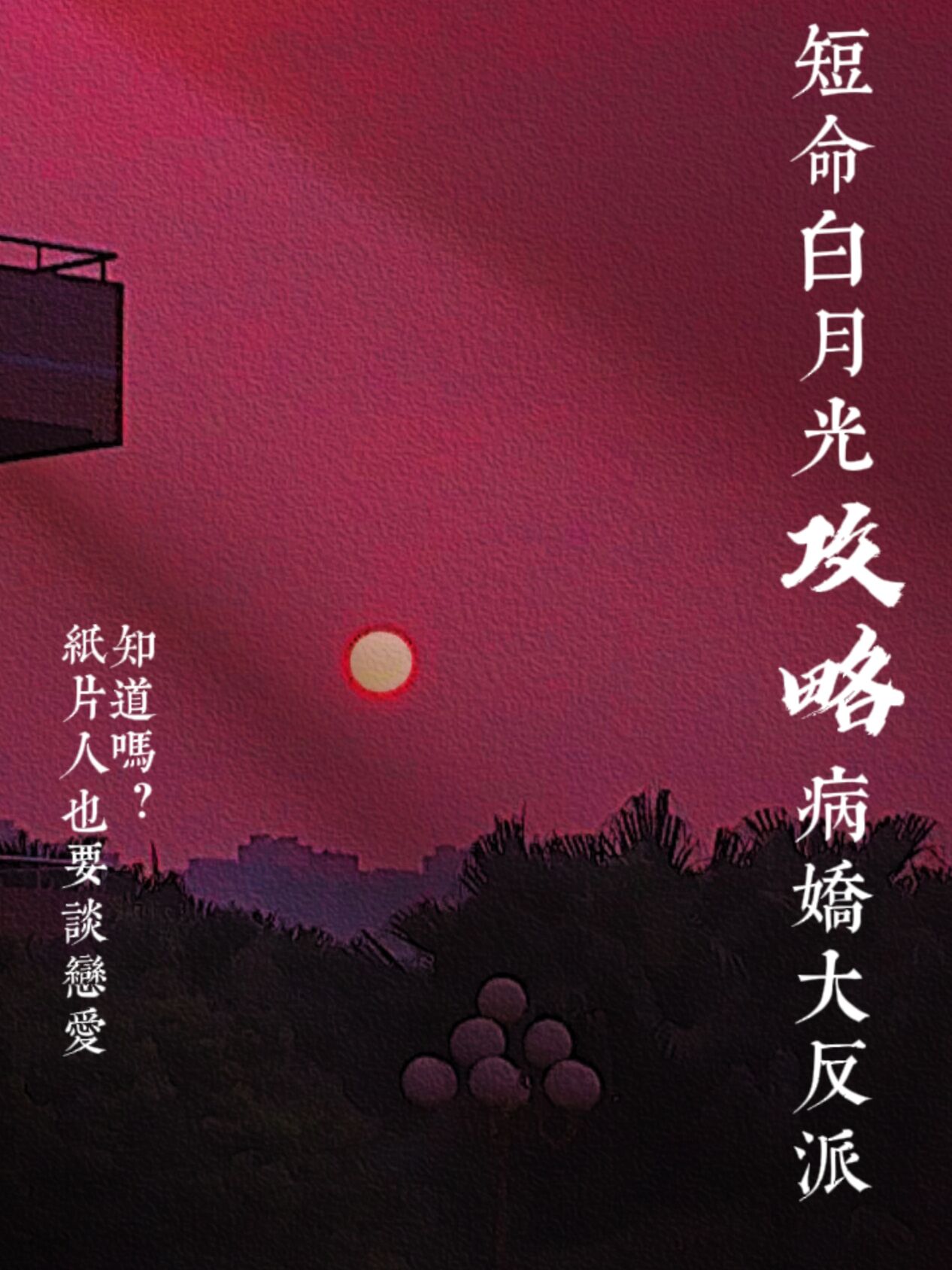 第二本