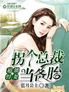 超能悍妻:拐个总裁当备胎