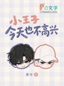 小王子今天也不高兴
