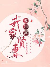 我家爱妻要和离