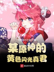 某原神的黄色闪光真君
