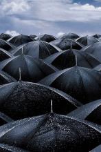 白雨涵文集