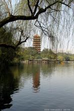 邓灿君文集