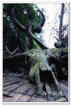东方吼狮文集
