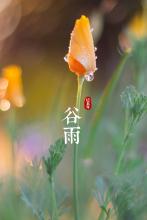 巴山雪浪文集