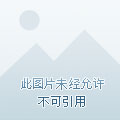 末世围城
