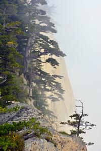 东流舂水文集