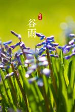 宾阳蛮人文集