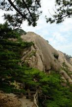 Bosslon文集