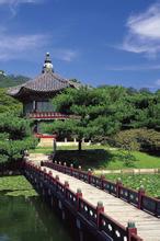白采水文集