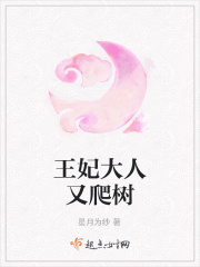 王妃大人又爬树