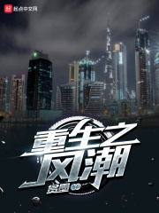 重生之风潮