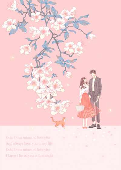 沐青婈宋文朝小说