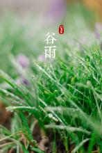 抱膝吟文集