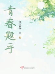 青春题手
