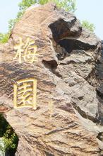 白晓痴文集