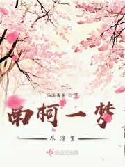 南柯一梦尽浮生