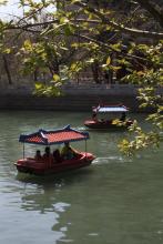 沧海飞鸟文集