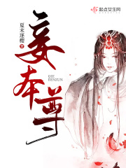 朔气传金柝