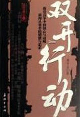 双开行动
