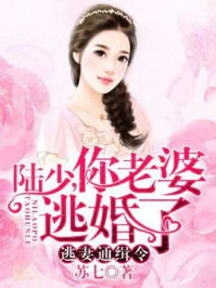 逃妻通缉令:陆少,你老婆逃婚了