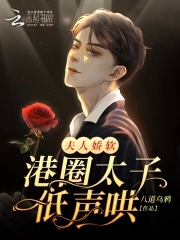 夫人娇软:港圈太子低声哄