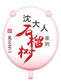 沈大人家的石榴树(重生)