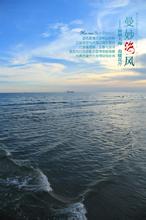 傲雪红梅1964文集