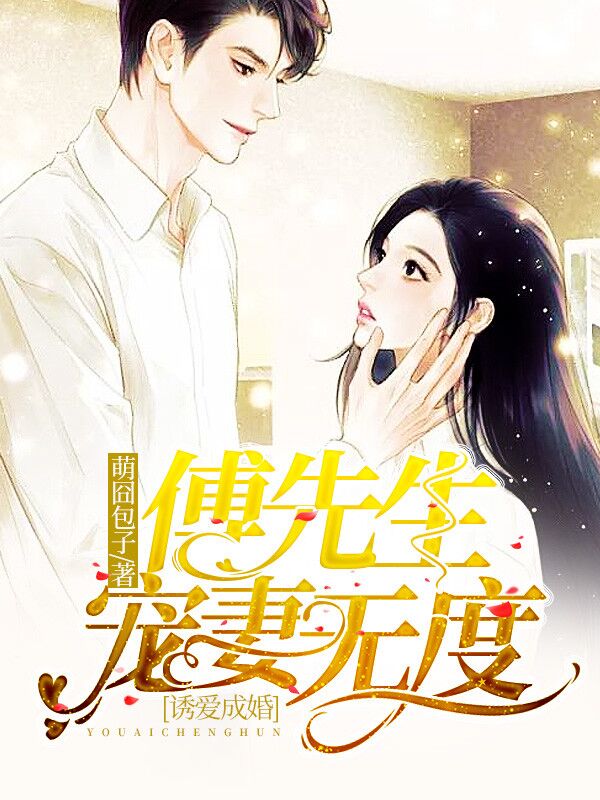 傅少宠妻无限