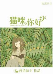 猫咪,你好