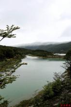 纯芦文集