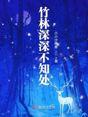 竹林深深不知处