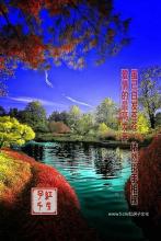 独伫寒秋文集